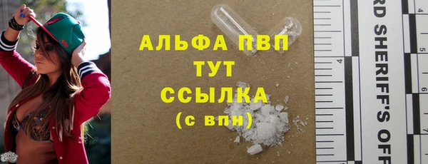 эйфоретик Новодвинск