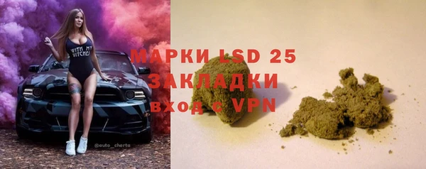 стаф Новозыбков