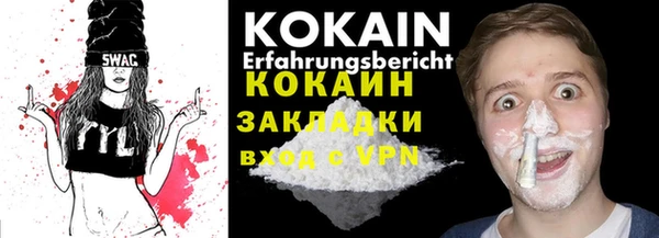стаф Новозыбков