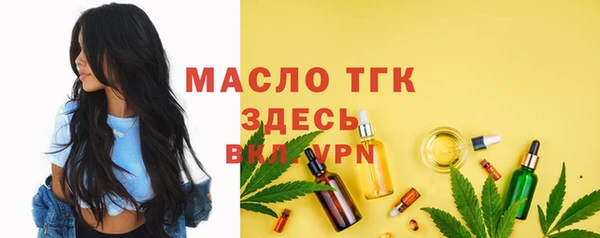 стаф Новозыбков
