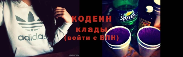стаф Новозыбков