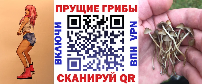 закладки  Колпашево  Псилоцибиновые грибы GOLDEN TEACHER 